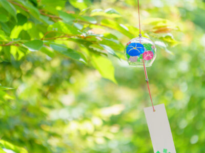 第30回 国際不動産協会 初夏の会