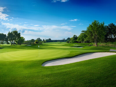 第10回 国際オープン開催