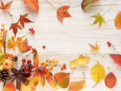 第32回  国際不動産協会 新秋の会